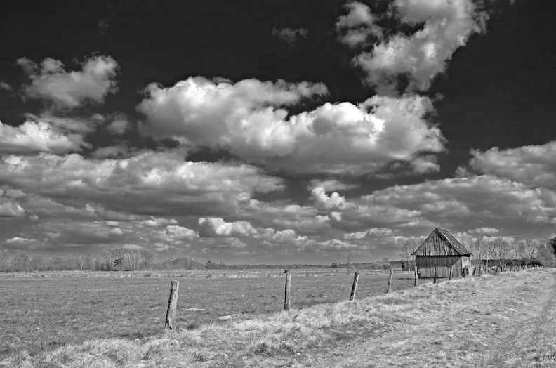 DSC 0770 Syenvenn