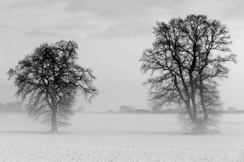 Lamberg Januar 17 jp