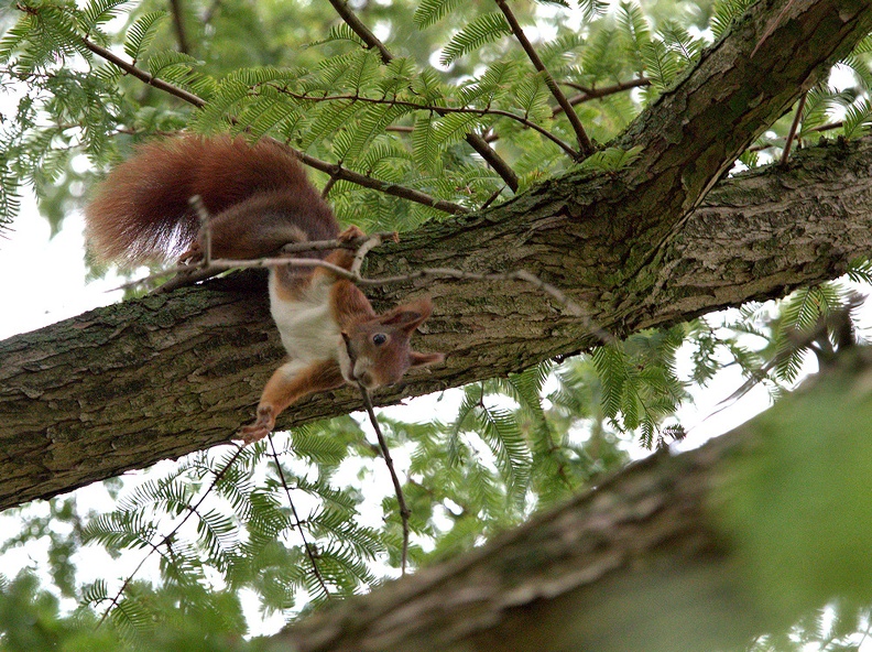 4738 PA200334 -1k 1000x748