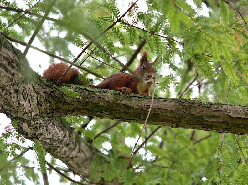 4739 PA200350 -1k 1000x748