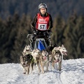 Hund-BDN103