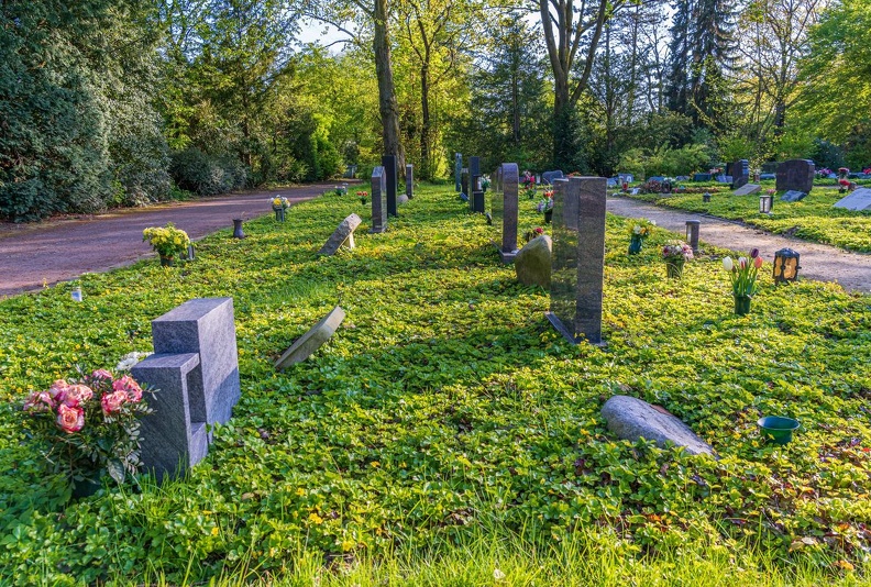  DSC2228-ta-Südfriedhof
