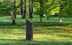  DSC2248-ta-Südfriedhof