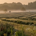 Morgens in Uelsen  U7A0264-1