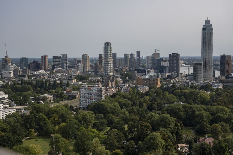 Rotterdam von oben