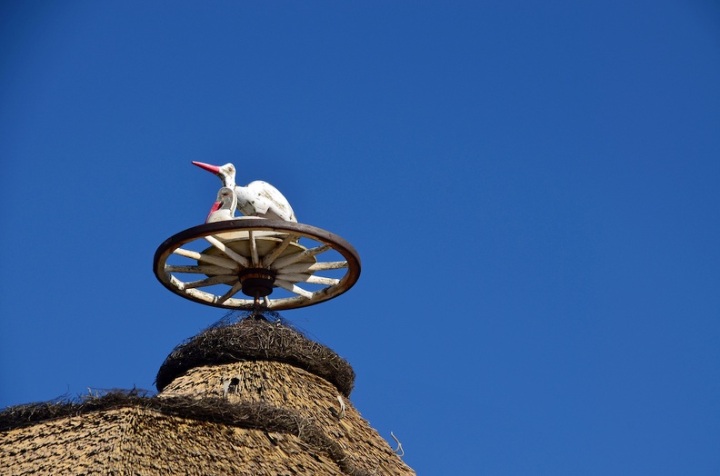 Storchennest UP