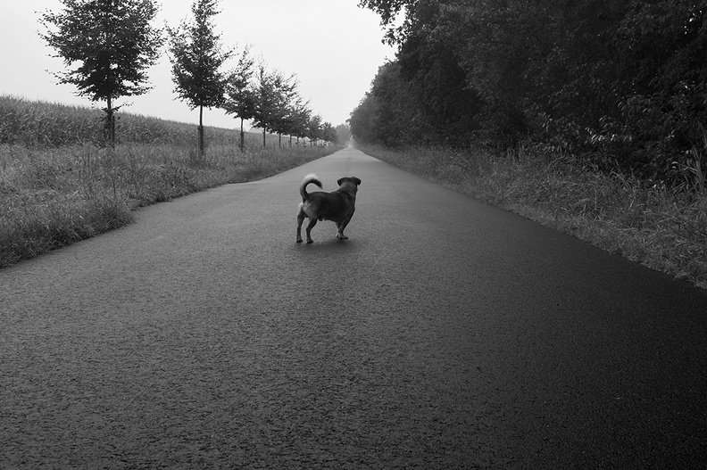 Nirbhi Schmidt it's a long road