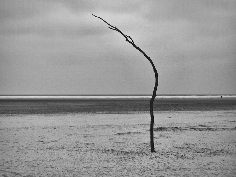 Strand04