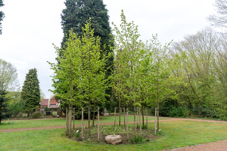 Pue_2025 04 16 Alter Friedhof Gildkamp Nr 01729 kl