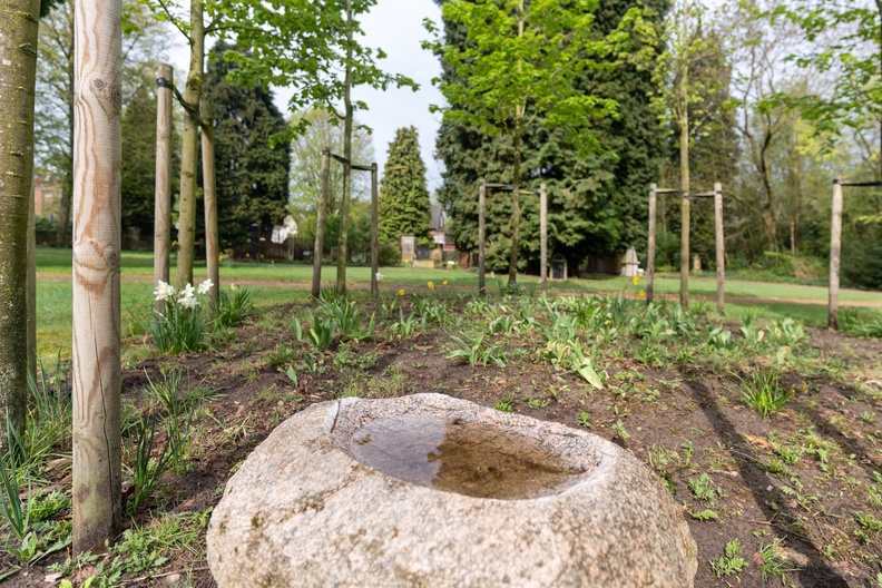 Pue_2025 04 16 Alter Friedhof Gildkamp Nr 01735 kl