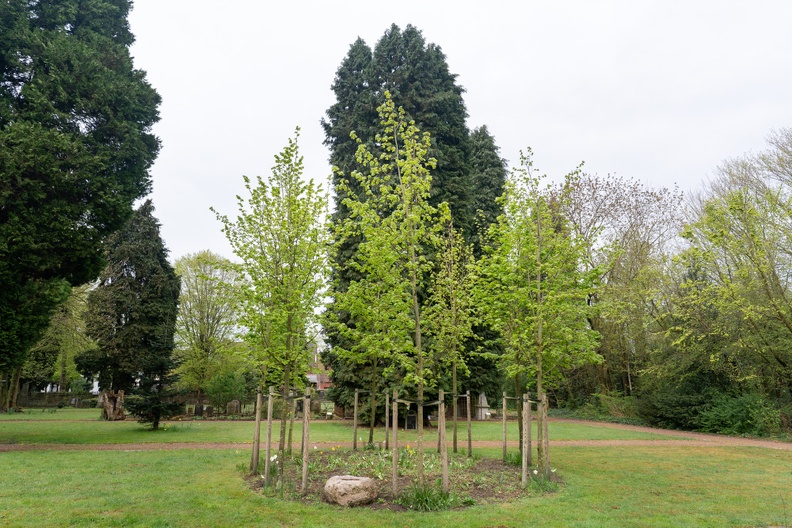 Pue_2025 04 16 Alter Friedhof Gildkamp Nr 01732 kl