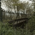 IMG 3695 BS