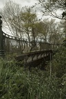 IMG 3695 BS