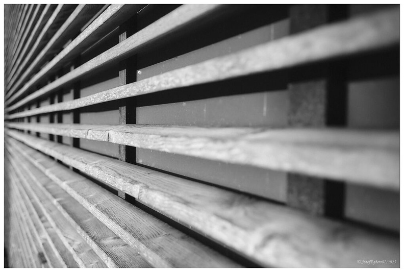 DSCF6277 Linien