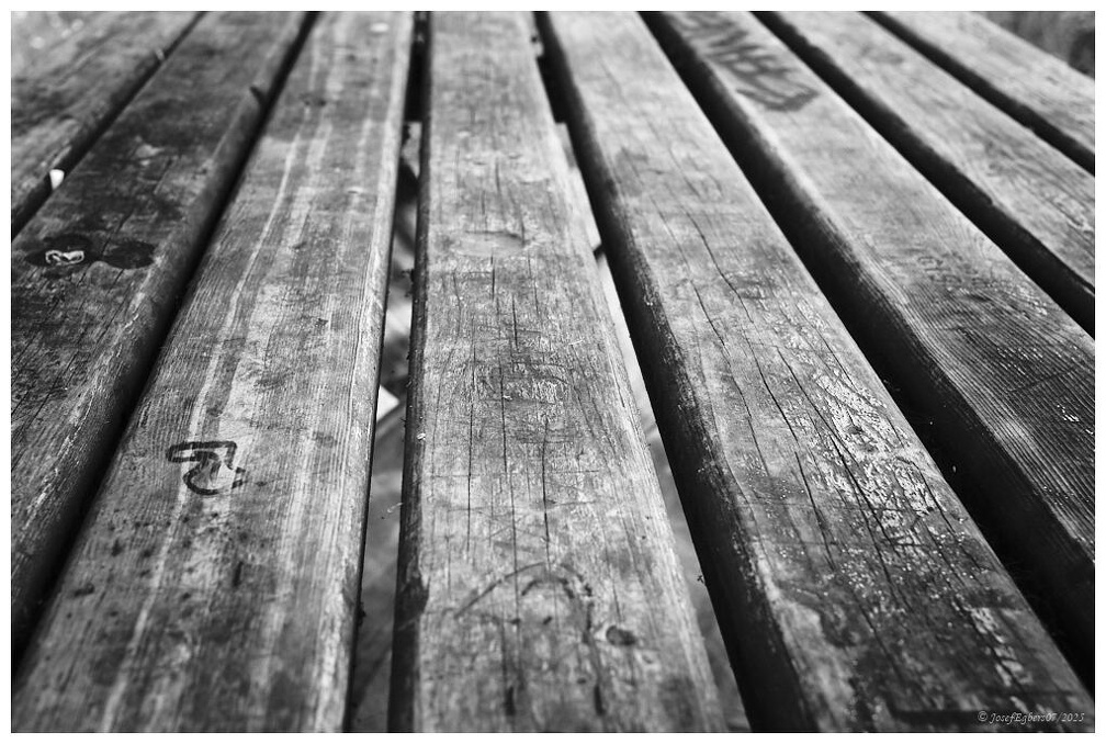 DSCF6272 Linien