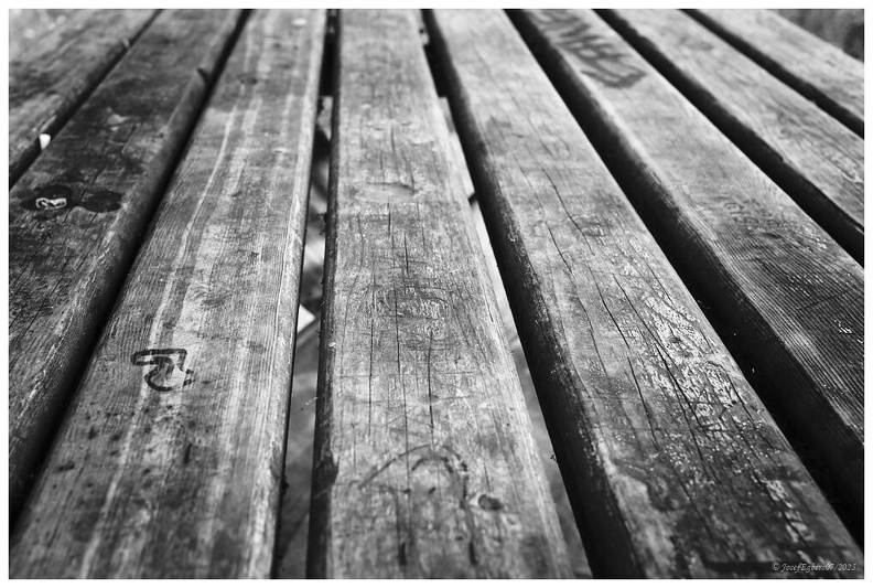 DSCF6272 Linien