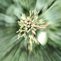 P7110061k