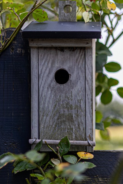 Eckig und Rund  U7A2765