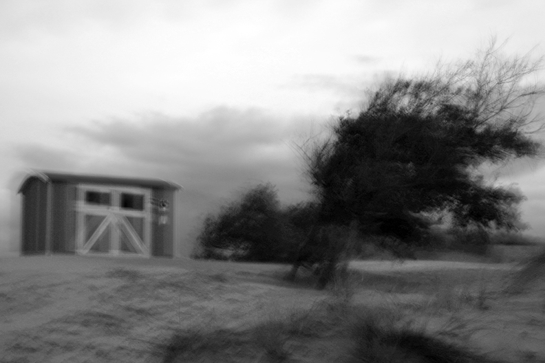 1T4A4521 (807 visits) 1T4A4521