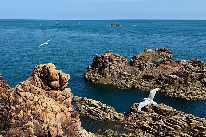 IMG 8034 (878 visits) IMG 8034