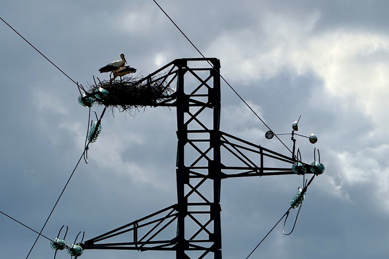 IMG 8033 (888 visits) IMG 8033