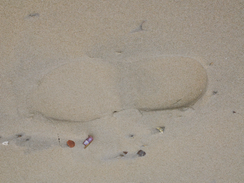 borkum (702 visits) borkum