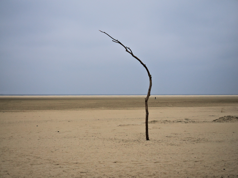 Borkum1 (726 visits) Borkum1