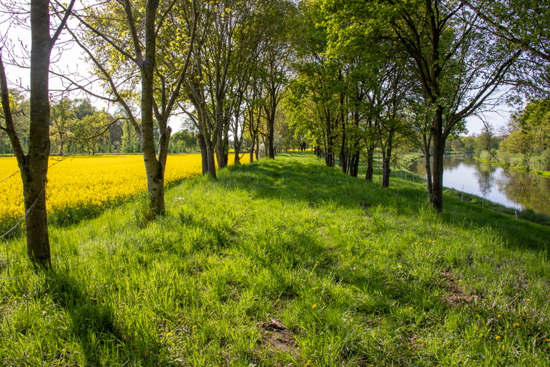 1C1A5055 (263 visits) 1C1A5055