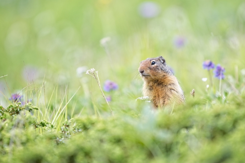 4. Platz - Jörg Preukschat