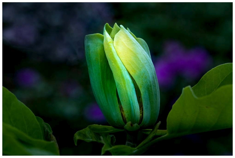 5. Platz - Peter Philipps