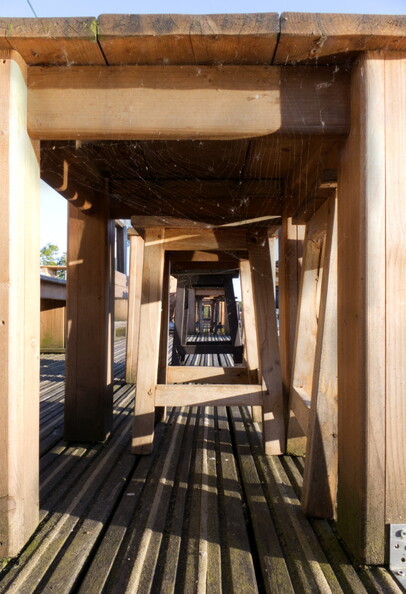 Tunnelblick (609 visits) Tunnelblick