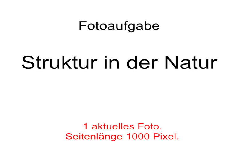 2026 09 Struktur in der Natur