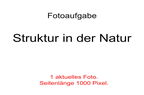 Struktur in der Natur