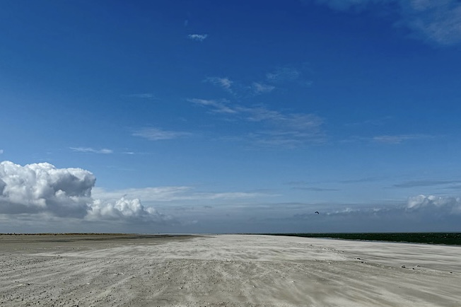 IMG 8035 (899 visits) IMG 8035